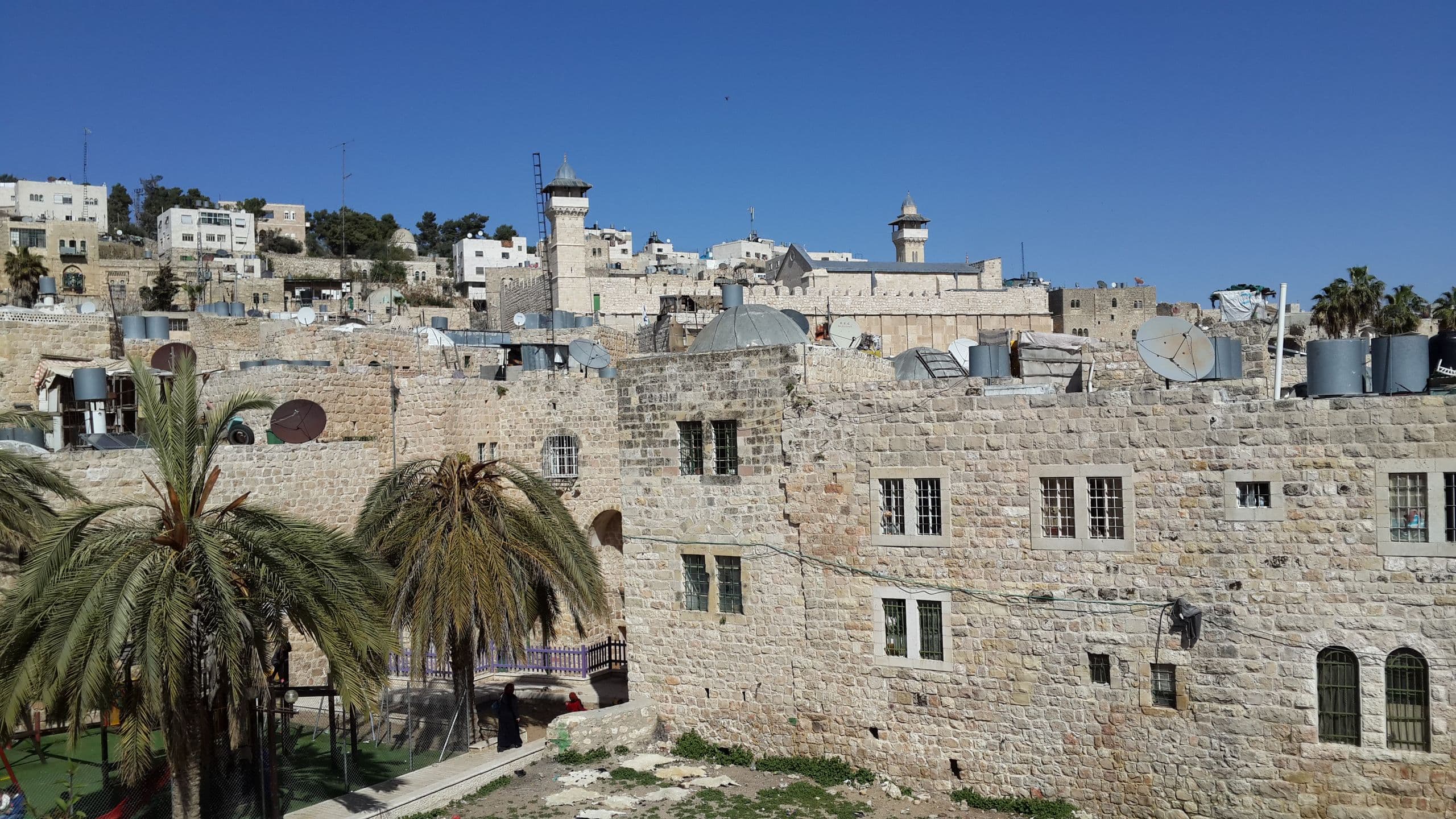 Stone houses and palms in Hebron's Old City